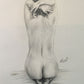 Desnudo