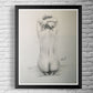 Desnudo