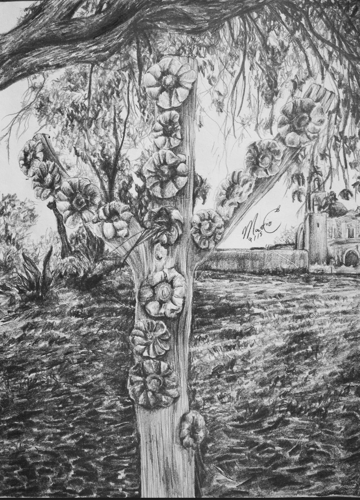 Cruz de Hacienda